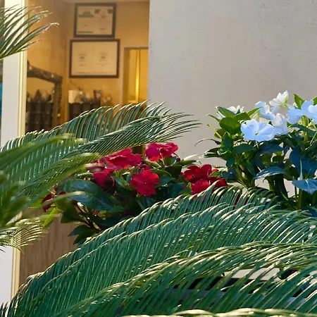 De La Relais מלון