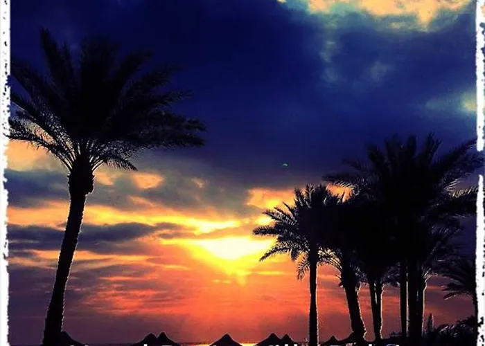 De La Relais פיומיצ'ינו